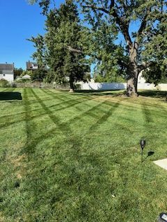 Lawn Mowing Services in Norristown, PA (1)